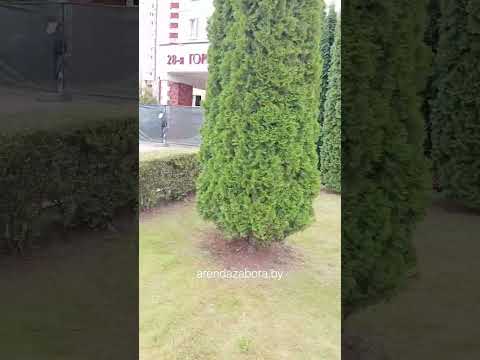 Смотреть видео о наших ограждениях