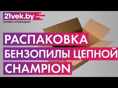 Миниатюра изображения товара Бензопила цепная Champion 256-18