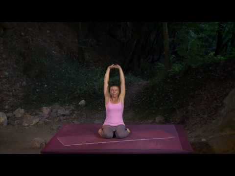 DVD Yoga gegen Burnout - Die Kuh & Das Kuhgesicht