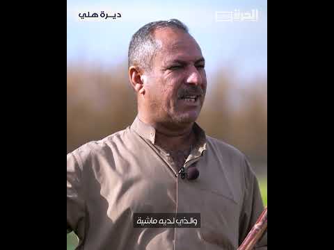 فيديو | ديرة هلي | المحمودية.. تحولات الزراعة عبر الزمن