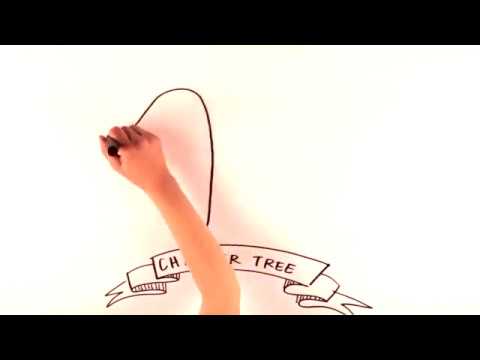 The Charter of Rights and Freedoms