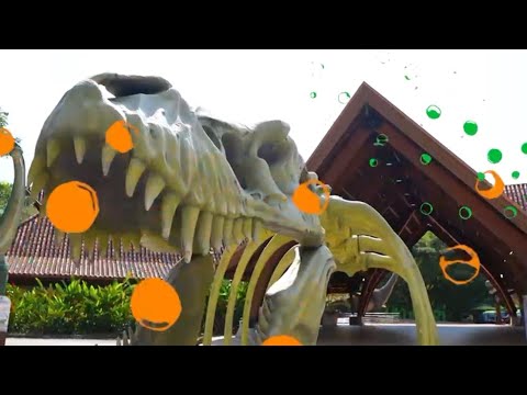 ¡VIVE UNA EXPERIENCIA ÚNICA EN EL BIOPARQUE UKUMARÍ!