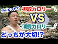 【#81】ダイエット初心者の方がまずやるべき事は?摂取カロリーダウンと消費カロリーアップはどっちが大切なんだい?