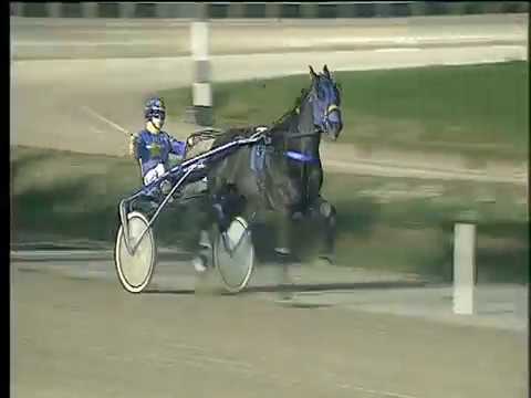 Trotto 19/12/2017 - 5ª corsa