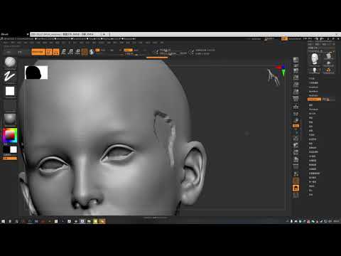 ZBrush2021 5  thick skin