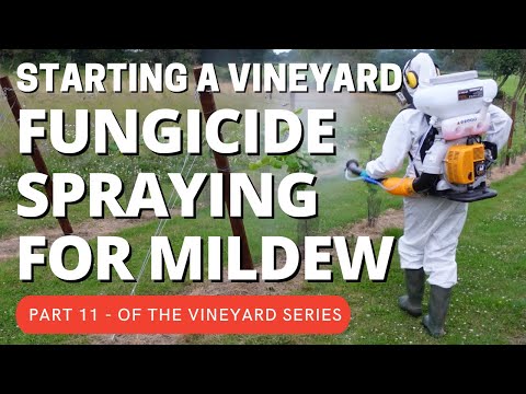Starting a vineyard part 11 - Fungicide spraying for Mildew and other fungal infections.