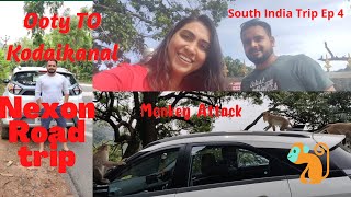 Ooty to Kodaikanal road trip | South India Trip | Monkey Attack on Nexon | @Warmth Hill Crest Resort