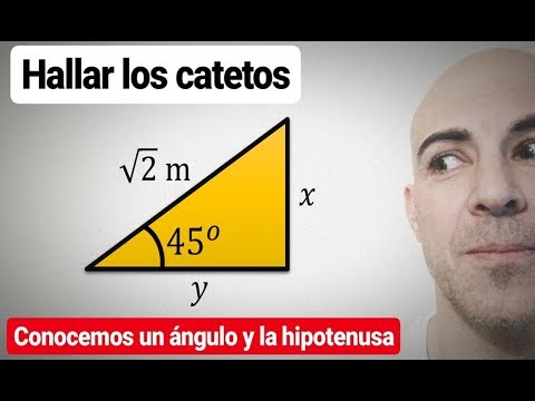 Cómo calcular los catetos de un triángulo rectángulo sabiendo la hipotenusa y un ángulo