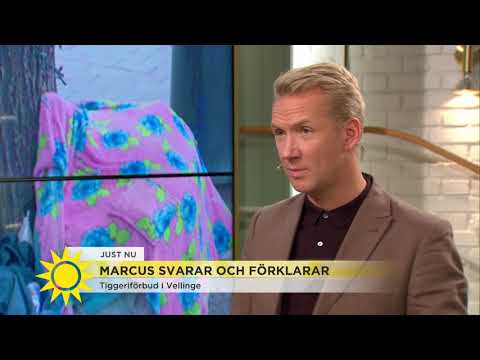 Marcus Oscarsson: "Tiggeriet - mycket snack och lite verkstad" - Nyhetsmorgon (TV4)