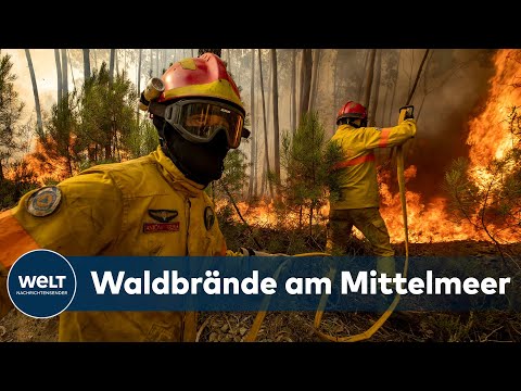 WALDBRÄNDE am Mittelmeer: Feuer wüten in Frankreich, Spanien und Portugal