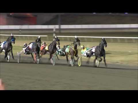 TVG Free For All Pace Final - Foiled Again - November 30, 2013