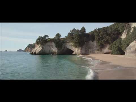 Fisher & Paykel Induction Hob CI904CTB1 - Black Video 1