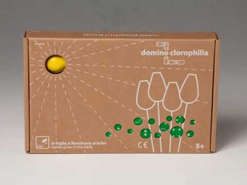 milaniwood - Domino tulips