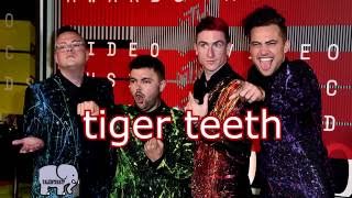 Walk the moon || TIGER TEETH || Lyrics