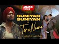 Suniyan Suniyan X Tere Naina Mauvision Mashup Full Version