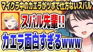 マイクラをプレイ中のカエラのことがツボすぎて仕方がないスバル【ホロライブID切り抜き/大空スバル/カエラ・コヴァルスキア/日本語翻訳】