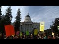 KQED This Week November 11 2011
