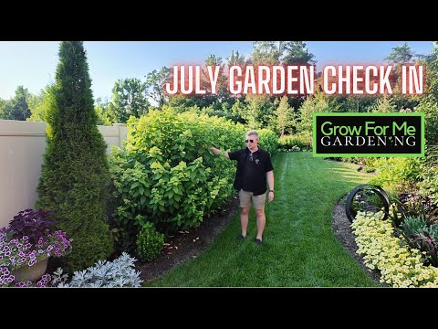 Checking In on the Mid-July Garden 🌺 A Tour of Our Contemporary Cottage Landscape