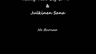 Ricky Tick Big Band & Julkinen Sana - Ne Burnaa