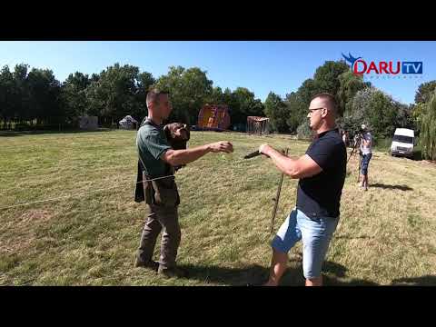 Sármos Családi lovasnap 1.rész