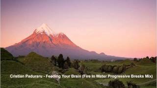 Cristian Paduraru - Feeding Your Brain (Fire In Water Progressive Breaks Mix)