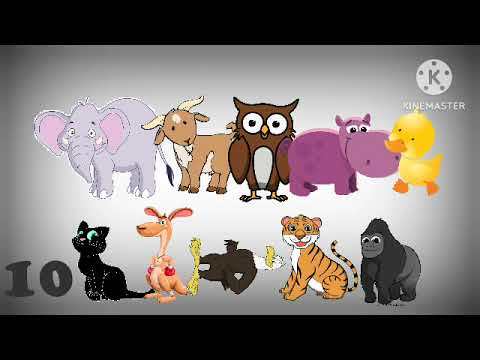 Um elefante incomoda muita gente