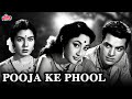 धर्मेंद्र की जबरदस्त रोमांटिक फिल्म �