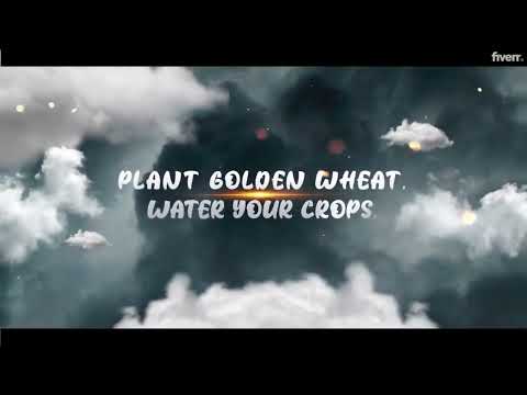 Morning Grain Farm video thumbnail