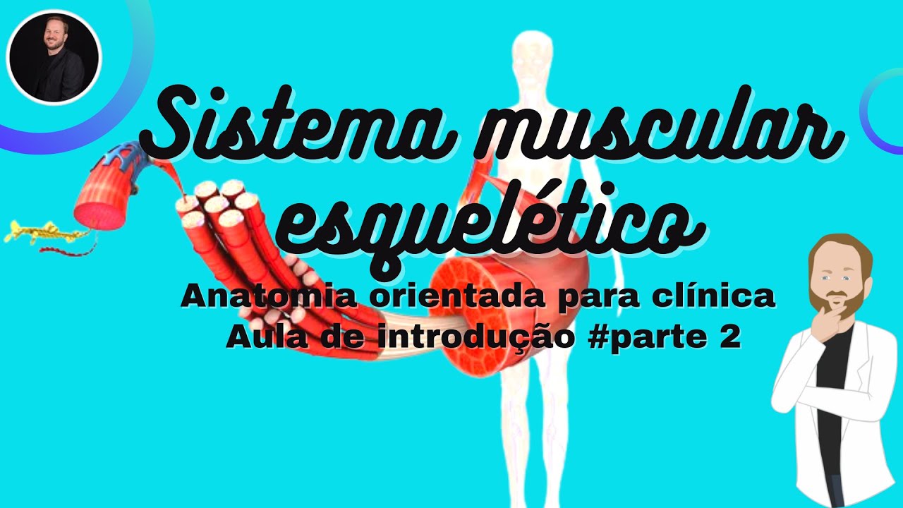 Anatomia do sistema muscular esquelético orientado para clínica: Introdução #PARTE 2