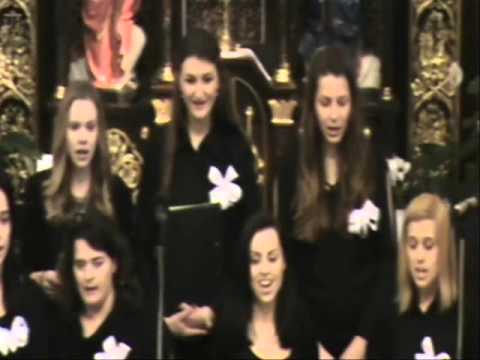 Malá hviezda vianočná