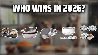 The Top 5 Best Metal Dog Bowls in 2026 - Must Watch Before B