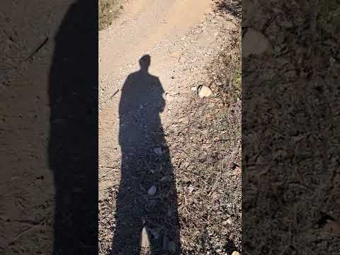 my son and his 110 pit bike