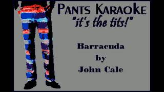 John Cale - Barracuda [karaoke]