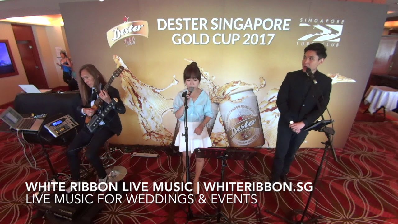 White Ribbon Live Music -  Ruth, Nat & Fatt - 3.5 piece band - Bilingual Pop Trio