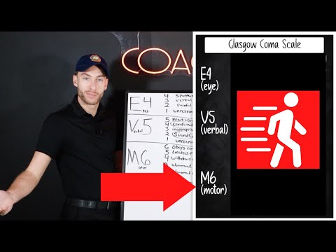 MOTOR RESPONSE Section of GCS