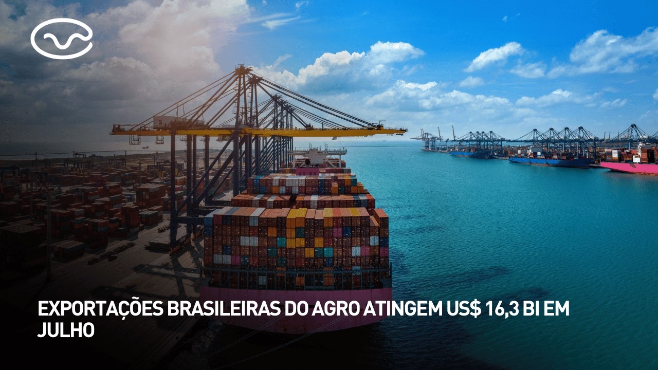 Exportações brasileiras do agro atingem US$ 16,3 bi em julho