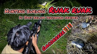 Download lagu Hunting for ruak-ruak birds at night will automatically bring in a good fortune‼️ mp3