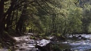 Download lagu You Mean Everything To Me (Instrumental w/LYRICS) by Neil Sedaka (1960) mp3 Download lagu You Mean Everything To Me (Instrumental w/LYRICS) by Neil Sedaka (1960) mp3