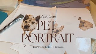 Photo Canvas  - Pet Portrait - Part 1