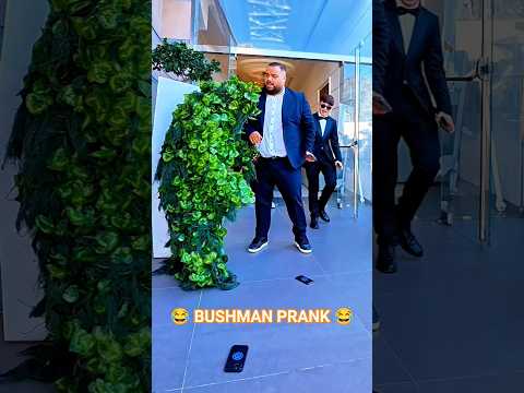 pianta scherzo #funny #funnyvideo #bushmanprank #lol #happy #fyp