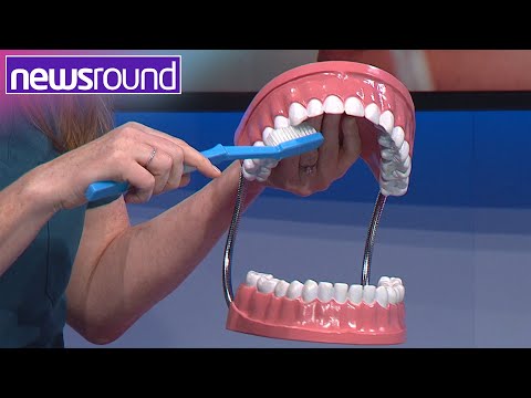 Dentist's Advice for How to Brush Your Teeth | Explained 🦷 | Newsround