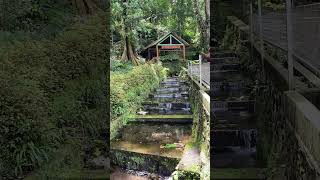 Download lagu Ini di agrowisata jamus ngawi jawatimur, Tempat yang cocok untuk liburan bersama keluarga ,, mp3