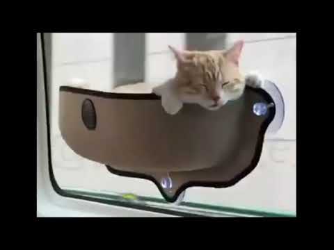 CAT TRAVEL HAMMOCK BED - PROTECTS YOUR CAT FROM HAVING MOTION SICKNESS AND RESTLESSNESS