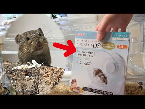 園芸 ハタネズミ