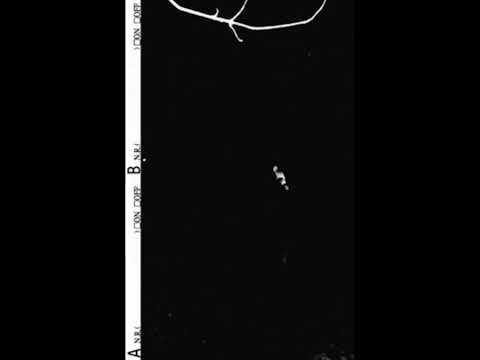 Kudlaakh - Demo MMXXI (2021)