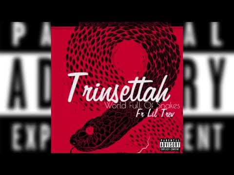 Trinsettah Ft Lil Trev - World Full Of Snakes “Prod By WhyAye”
