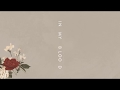 “In My Blood” Shawn Mendes Audio soundtrack with echo
