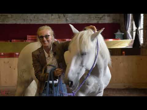 Marie Massmann - Vorstellung: Horse Focus Training