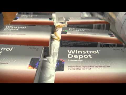 'Anabolandia': operazione dei Nas di Bologna, indagato un medico riminese