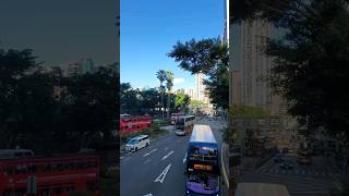 Download lagu Sebiru Hatiku Rek|Causeway Bay Rd#jalanan #causewaybay #bus #tramway #hongkong mp3 Download lagu Sebiru Hatiku Rek|Causeway Bay Rd#jalanan #causewaybay #bus #tramway #hongkong mp3
